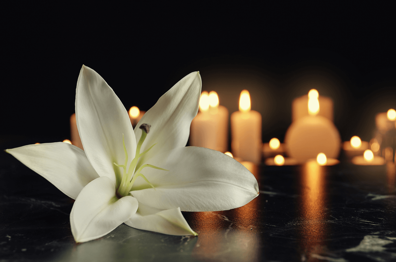 Flower and lit candles 